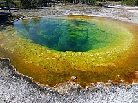 Yellowstone Morning glory pool (8).JPG